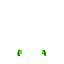 Green Traveler's Cape