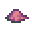 Corn Seed