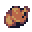 Pet - Rat